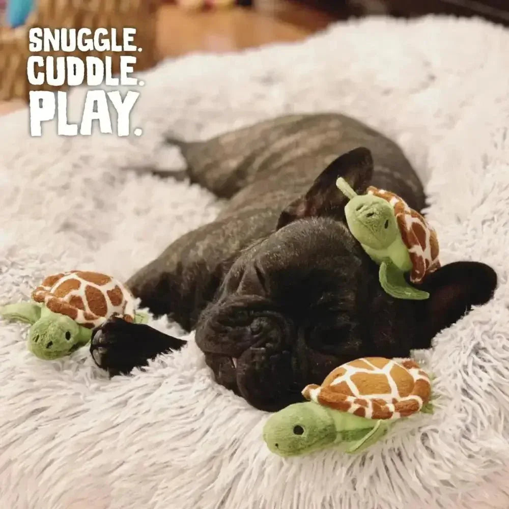 SnugArooz Hide and Seek Reef Dog Toy - Talis Us
