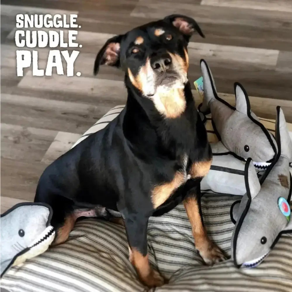 SnugArooz Saul the Shark Dog Toy - Talis Us
