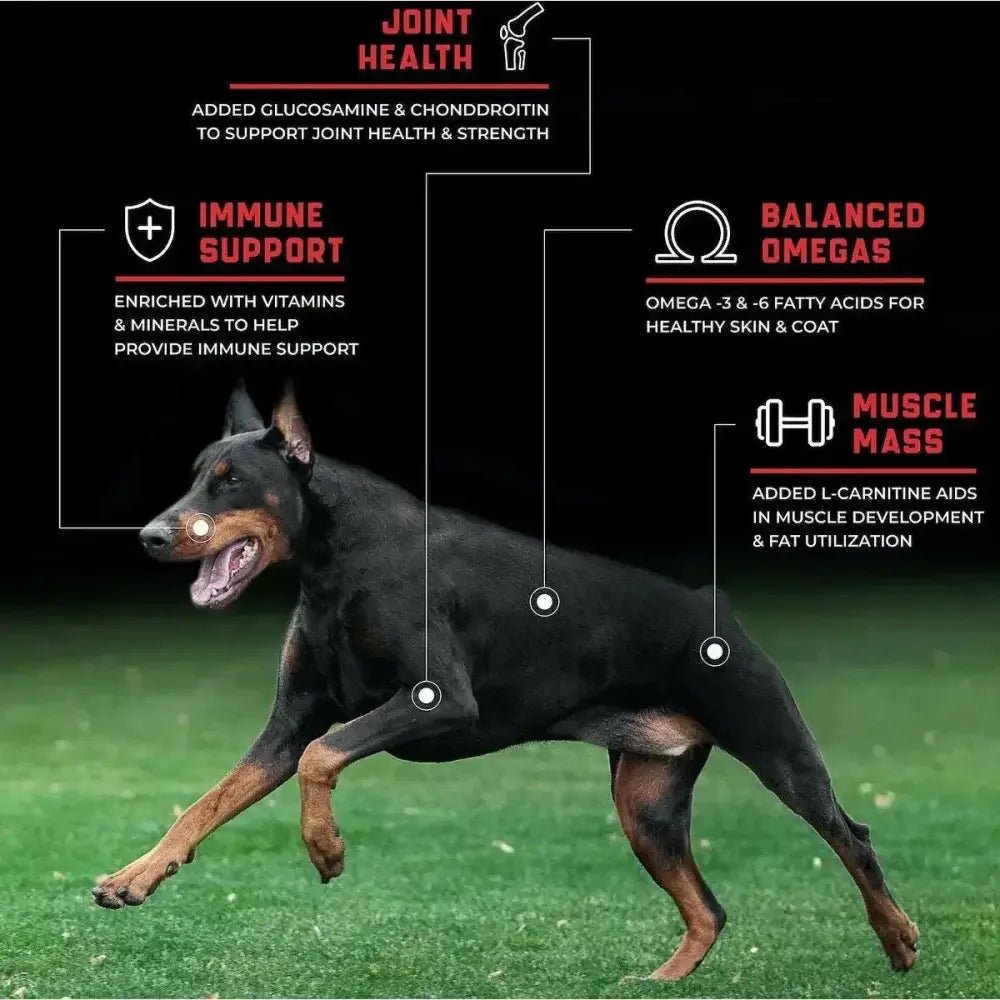 SPORTMIX CanineX Grain Free Performance Nutrition Dry Dog Food - Talis Us