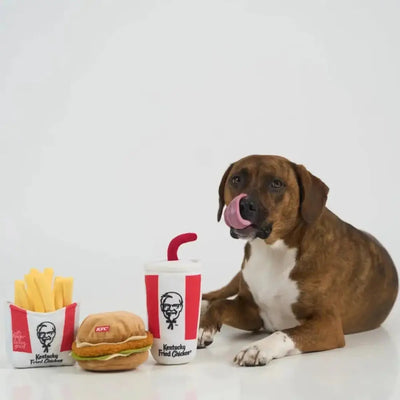 Spot Kentucky Fried Chicken Dog Toy - Talis Us