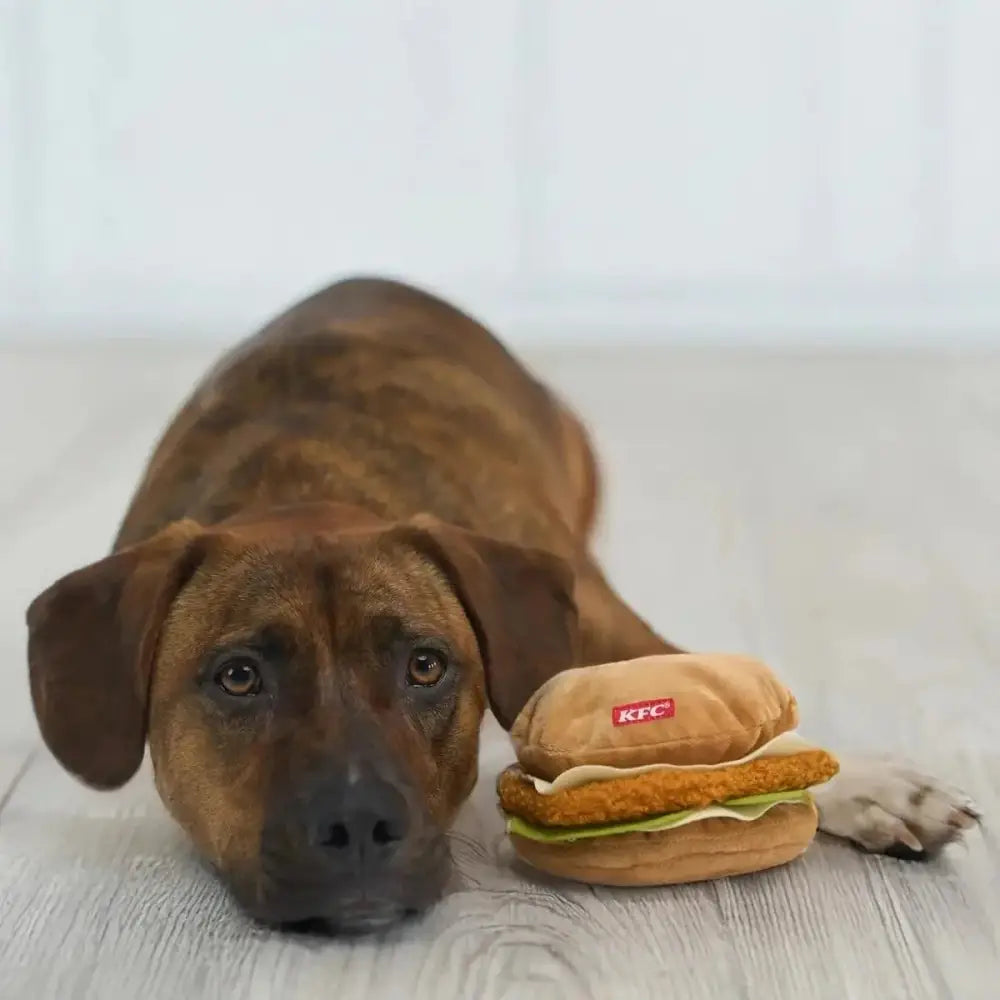 Spot Kentucky Fried Chicken Dog Toy - Talis Us