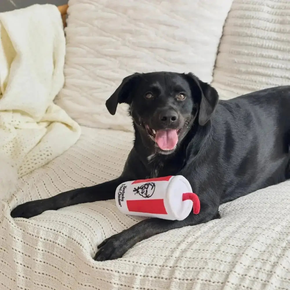 Spot Kentucky Fried Chicken Dog Toy - Talis Us