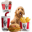 Spot Kentucky Fried Chicken Dog Toy - Talis Us