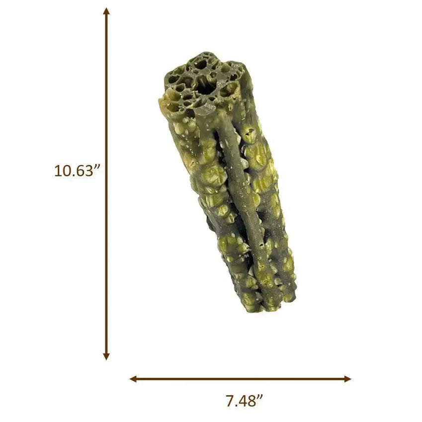 Spot Dental Dog Treats for Medium Dogs in a unique textured shape for effective cleaning