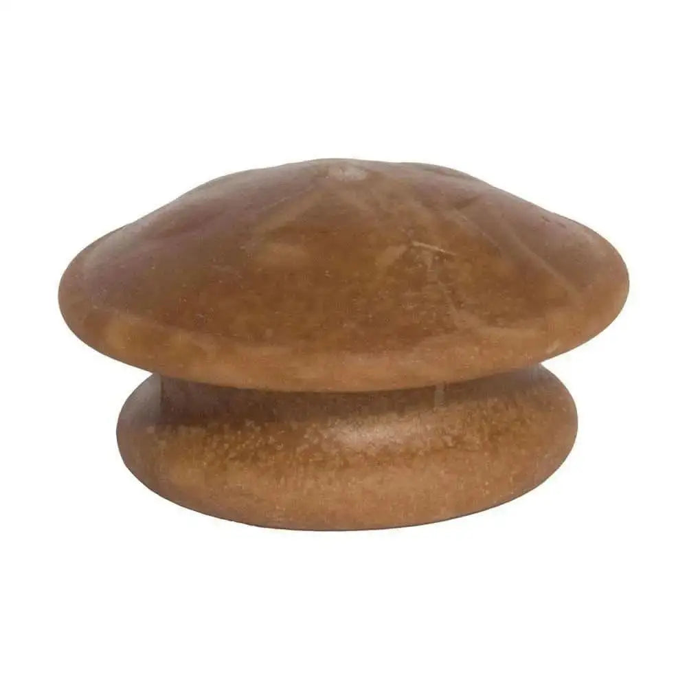 Starmark® Lock & Block Chicken Dog Treats Medium Starmark®