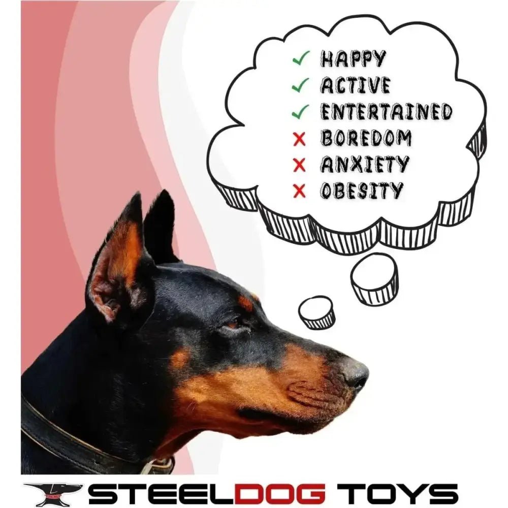 Steel Dog Polka Dot Pals Plush Dog Toy with Knotted Rope - Talis Us