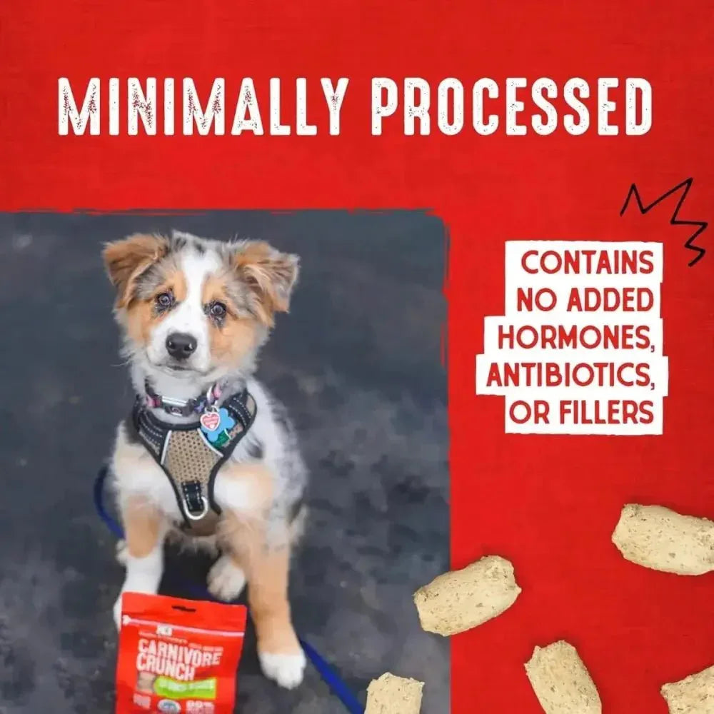 Stella & Chewy's Carnivore Crunch Freeze Dried Dog Treats 3.25 oz - Talis Us