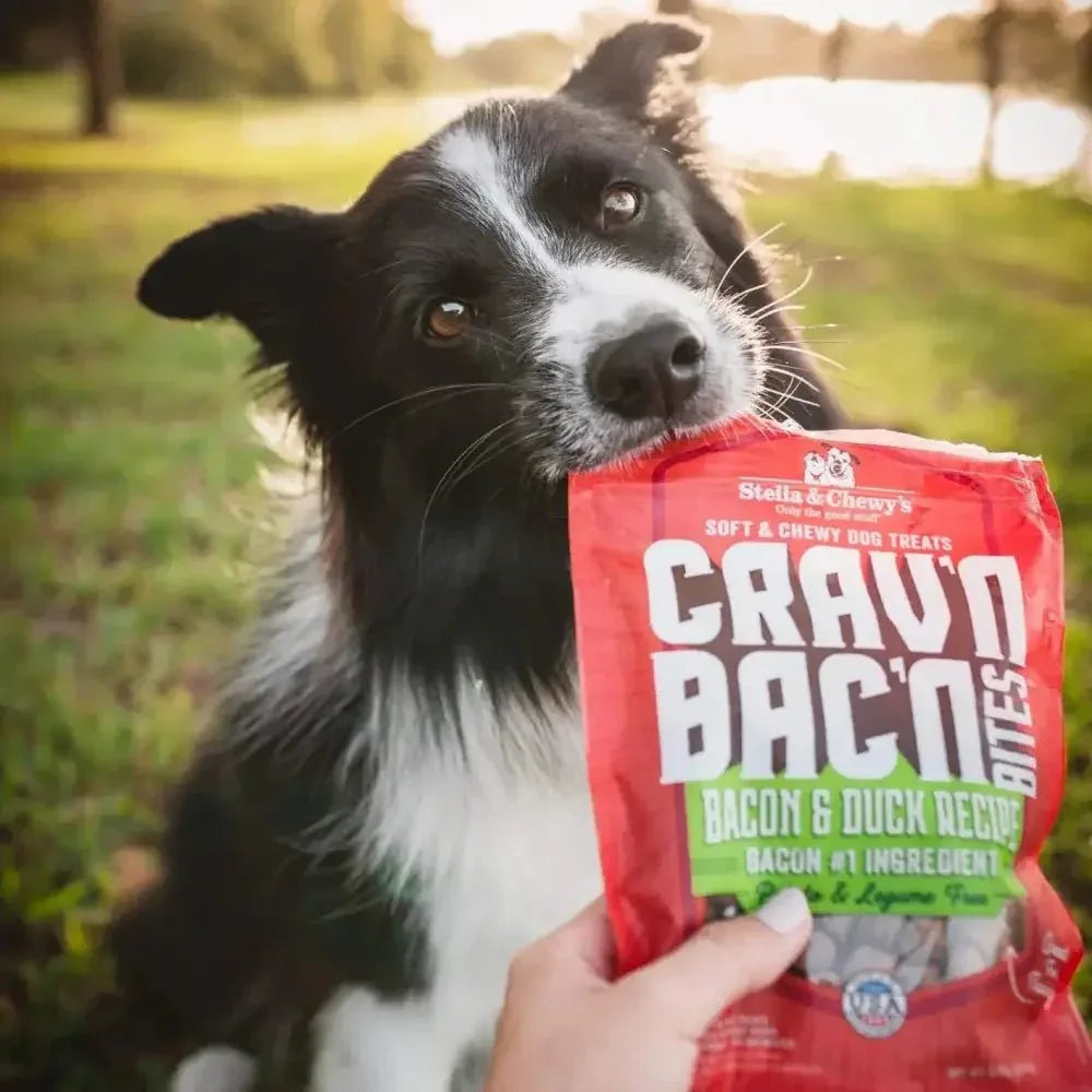 Stella & Chewys Dog Crav'N Bacon Bites Beef 8.25Oz - Talis Us