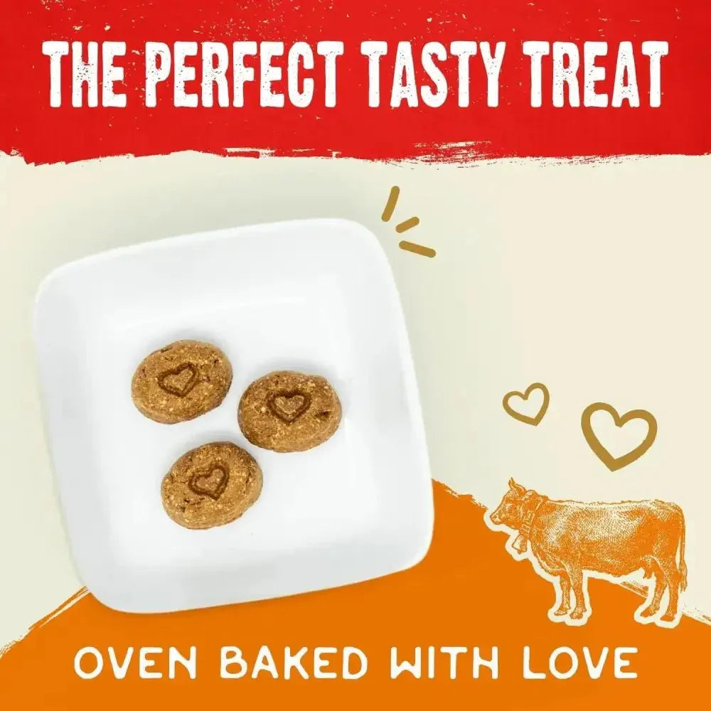 Stella & Chewys Dogs Raw Coated Biscuits Dog Treata 9Oz - Talis Us
