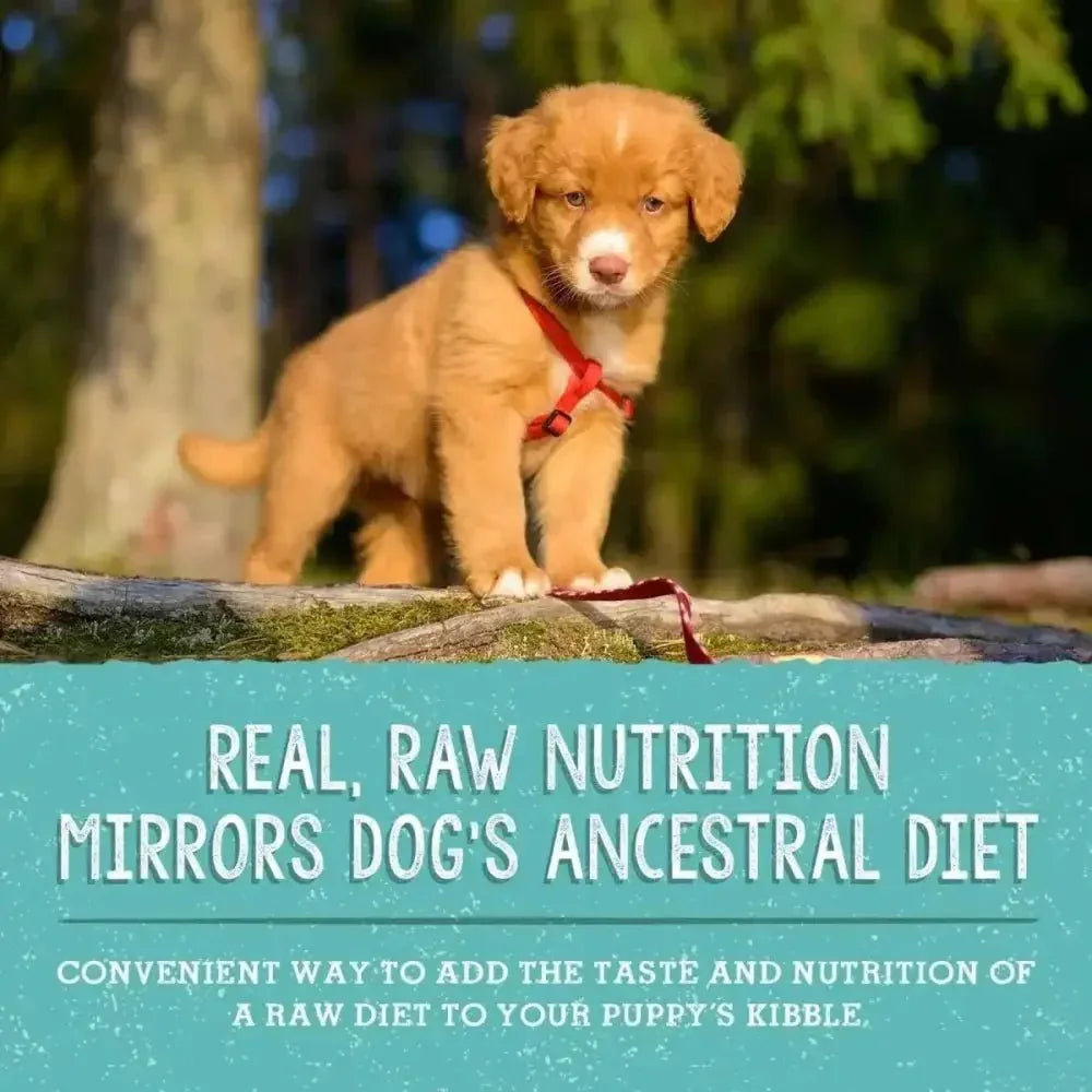 Stella & Chewy's Freeze Dried Beef and Salmon Meal Mixer Puppy Food - Talis Us
