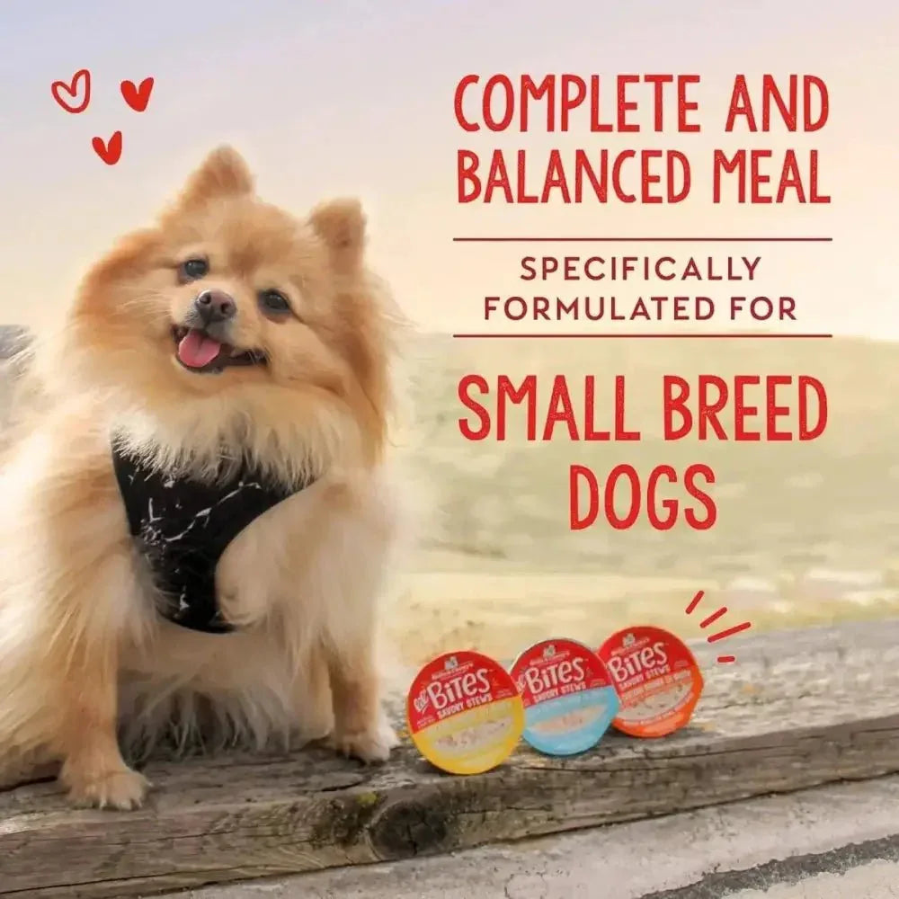 Stella & Chewy's Lil Bites Savory Stews Chicken & Duck in Broth Dog 12 / 2.7 oz - Talis Us