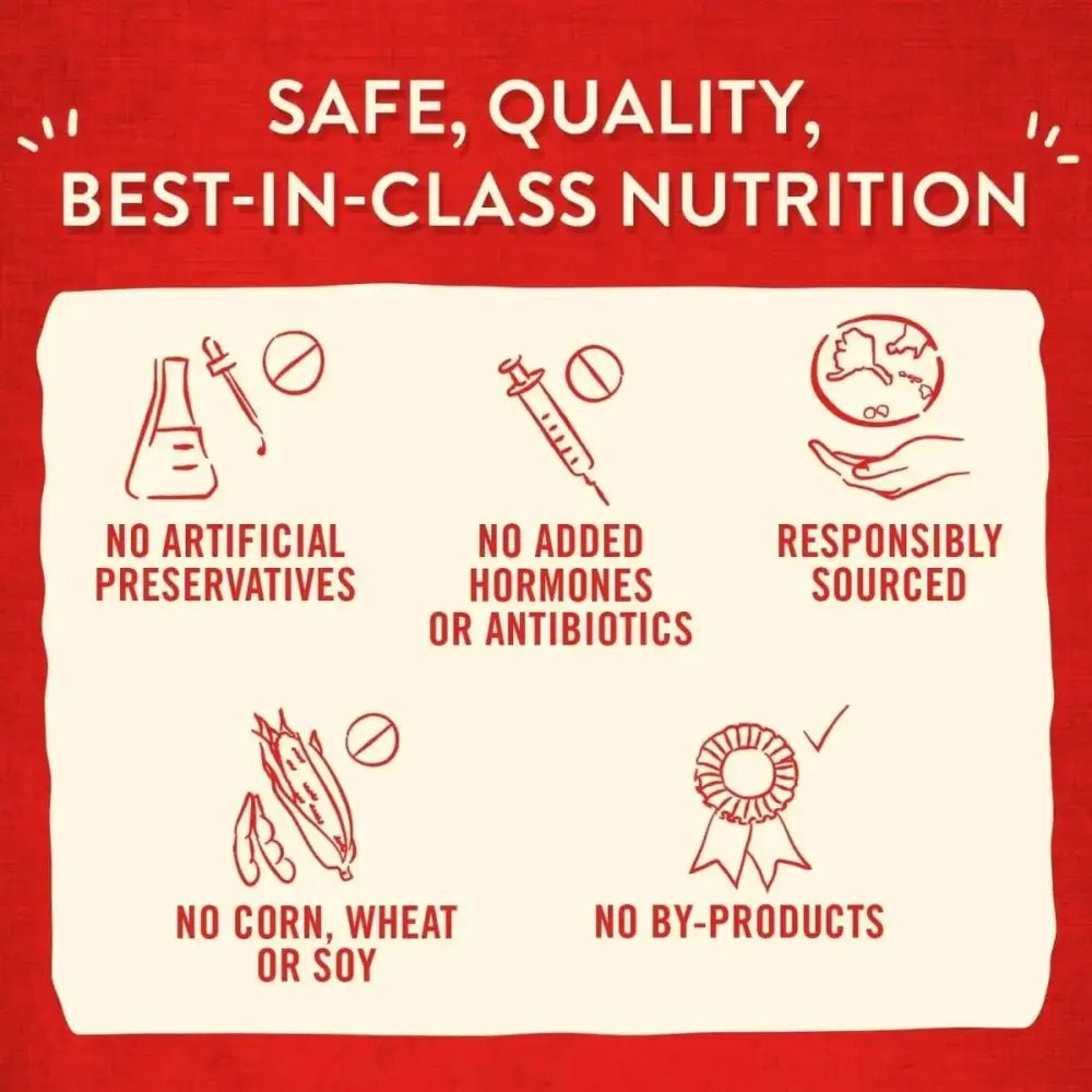 Stella & Chewy's Wild Weenies Freeze Dried Game Bird Dog Treats 3.25 oz - Talis Us