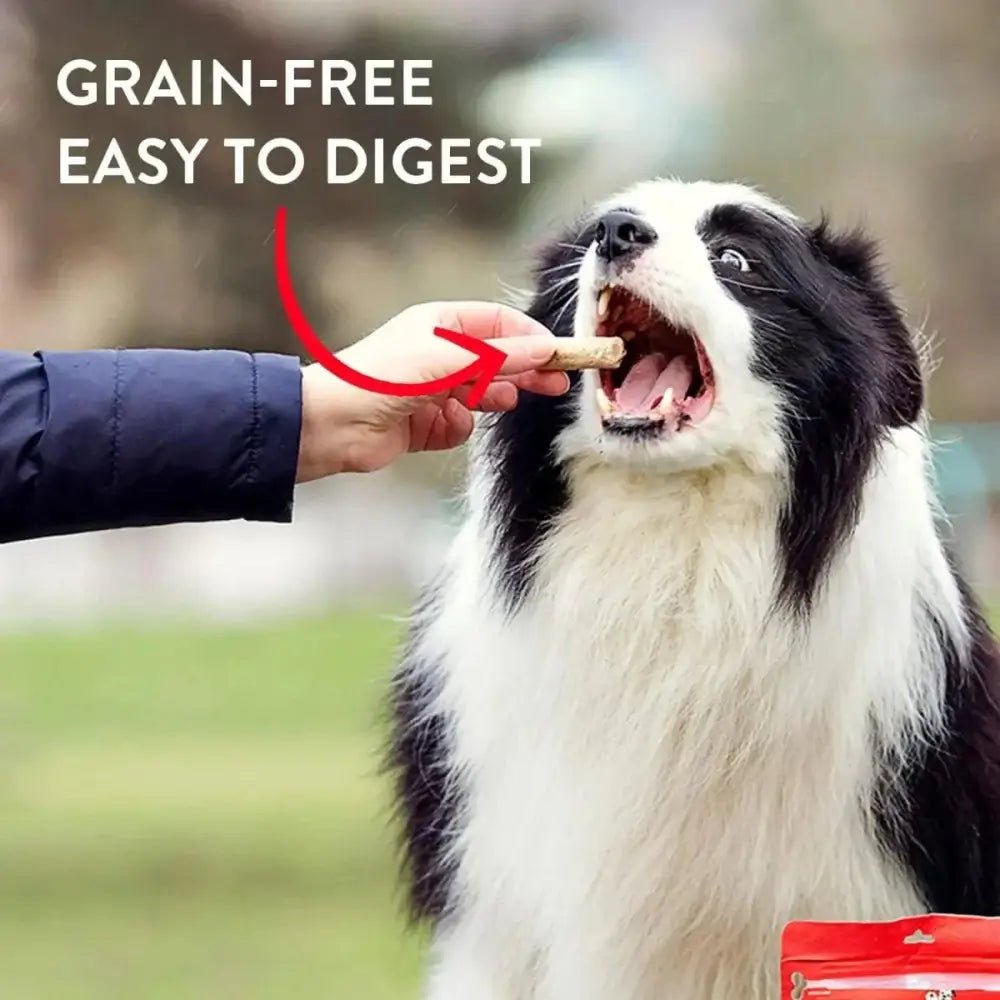 Stella & Chewy's Wild Weenies Freeze Dried Game Bird Dog Treats 3.25 oz - Talis Us