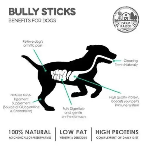 Supercan 12 inch Standard Odor Free Bully Sticks Case of 50 - Talis Us