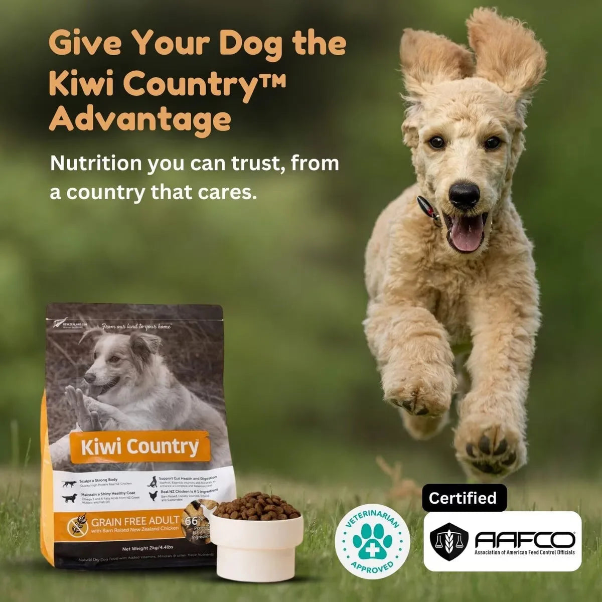 Kiwi Country grain free chicken dog food bag with brown kibble for adult dogs, promoting a nutritious diet