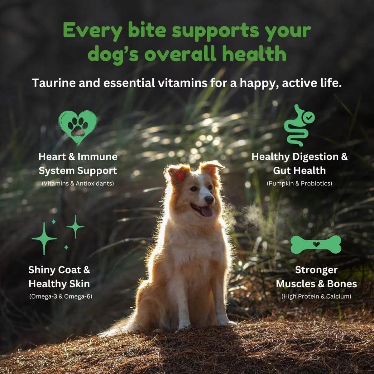 Kiwi Country grain free lamb dog food with essential vitamins for healthy dogs