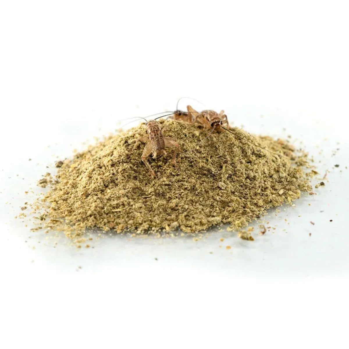 Zoo Med Bug Balance Gut - Load Reptile Supplement 2 oz - Talis Us