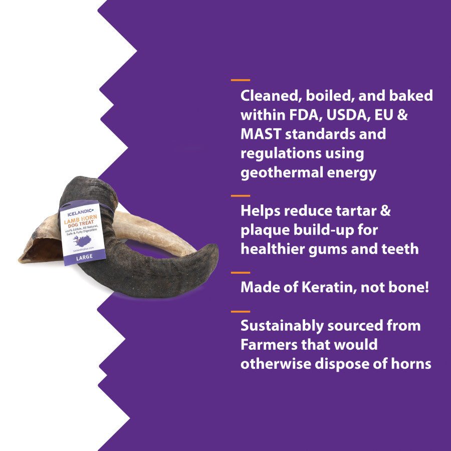 Icelandic Large Lamb Horn dog treat on a purple background with product features and benefits.