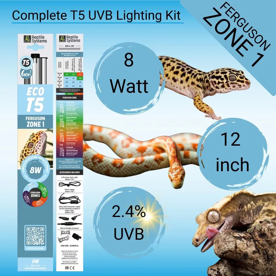 Reptile Systems Eco T5 Zone 1 lighting kit with an 8 watt, 12 inch, 2.4% UVB lamp and accessories.