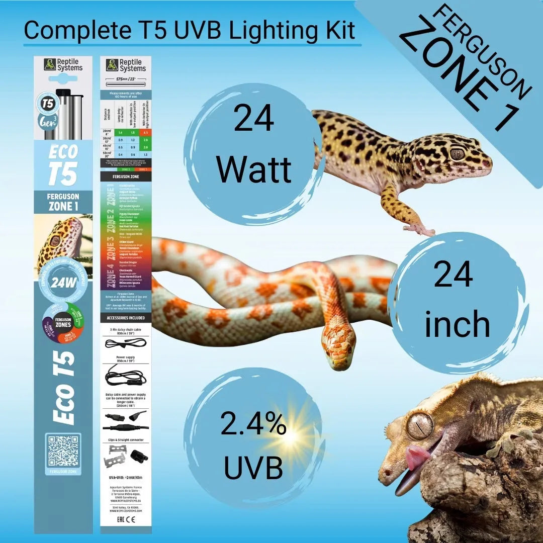 Reptile Systems Eco T5 Zone 1 lighting kit with 24W, 24-inch, 2.4% UVB lamp and accessories.