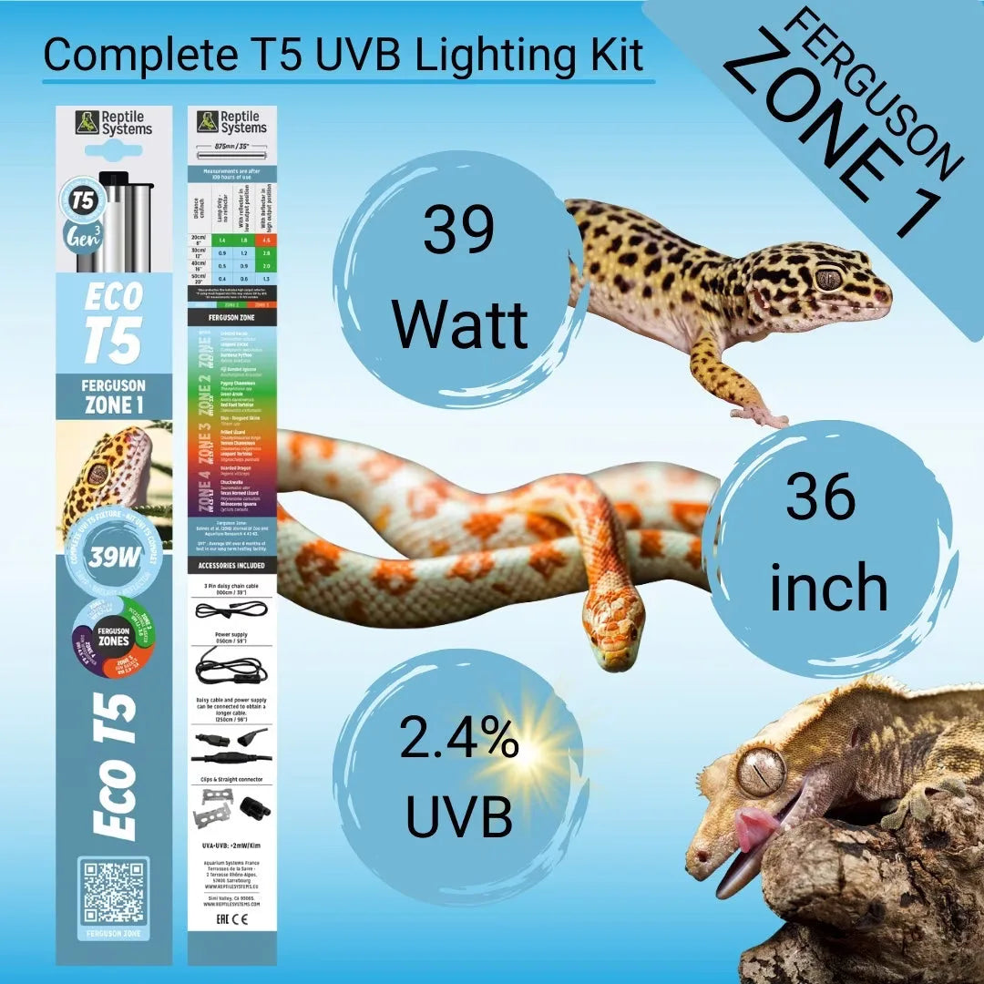 Reptile Systems Eco T5 Zone 1 lighting kit with a 39W, 36-inch, 2.4% UVB lamp and fixture.