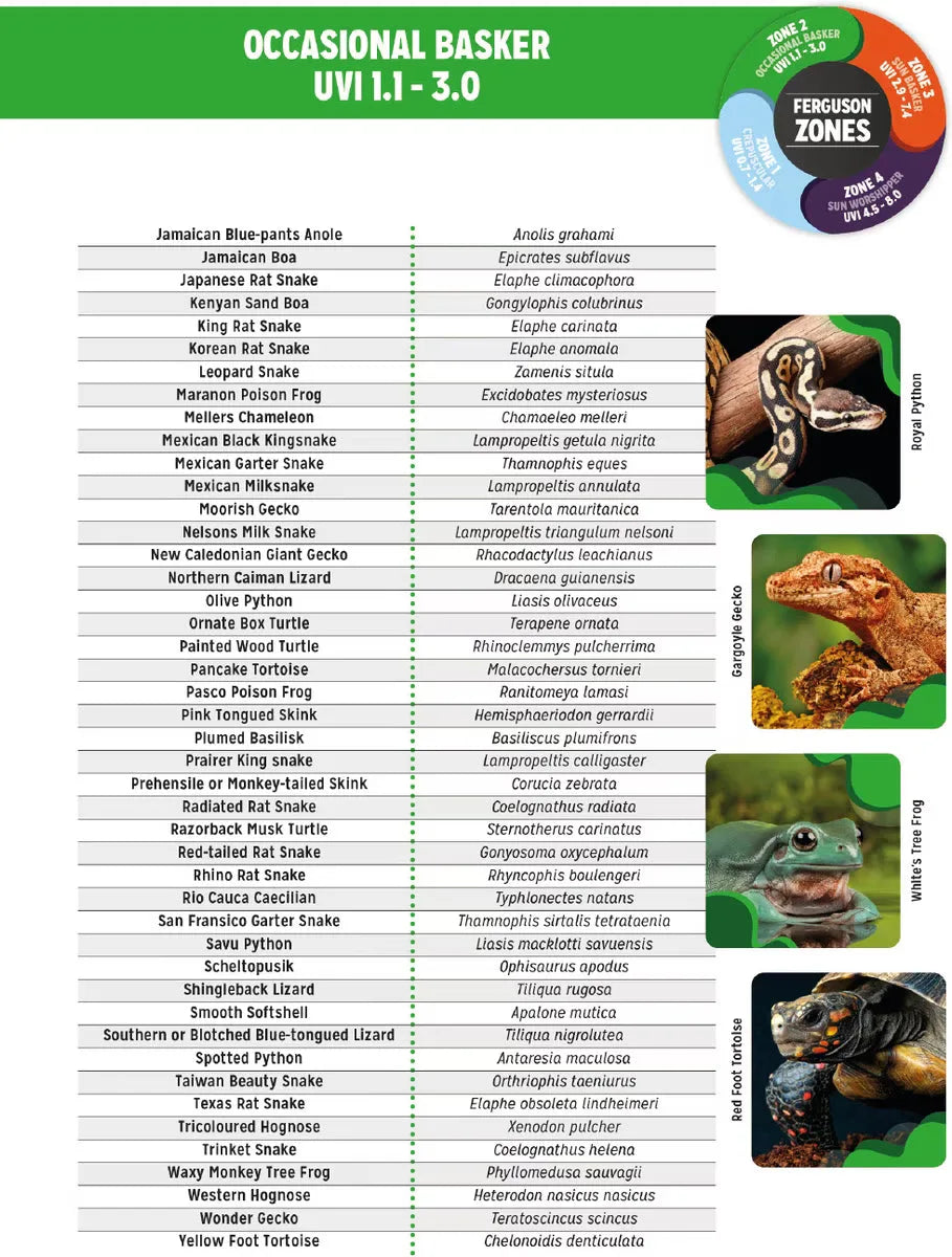 Reptile Systems reptile T5 lighting kit for various reptile species with optimal UV exposure