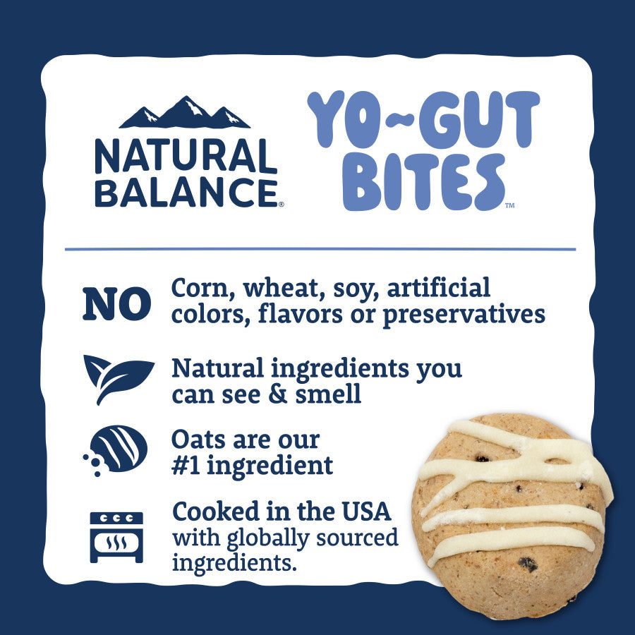 Close-up of dog treat packaging highlighting all-natural ingredients with oats as the main component and a single treat shown