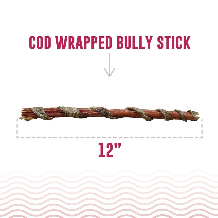 Icelandic+ Cod Wrapped Bully Stick for dogs, 12 inches long, perfect for dog chewing and enjoyment