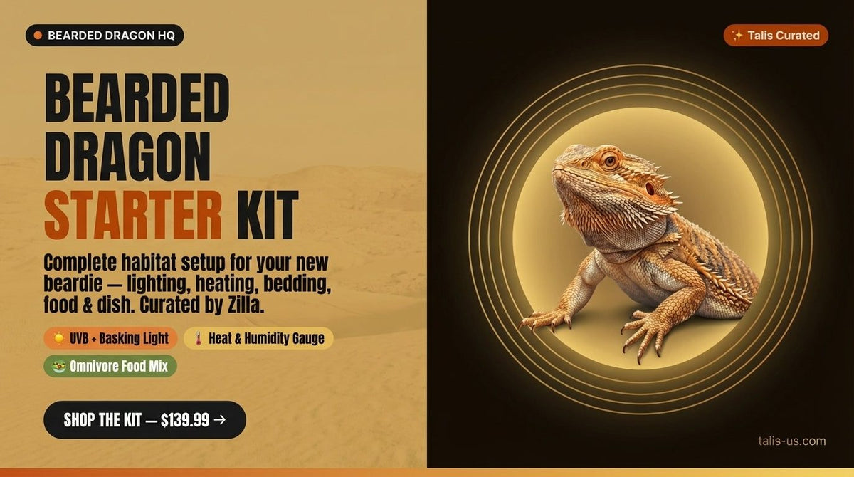 Bearded dragon perched inside circular gold frame with text promoting complete habitat starter kit features
