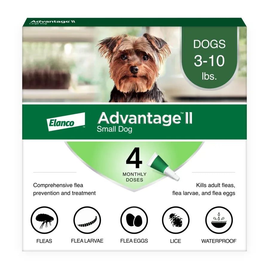 Advantage II flea treatment for dogs in a box for small dogs 3-10 lbs with four monthly doses