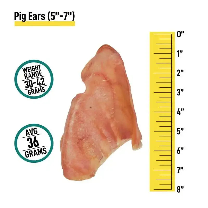 Talis Us Pig Ears for dogs, 5 to 7 inches, weighing 30 to 42 grams each, ideal dog chew treat