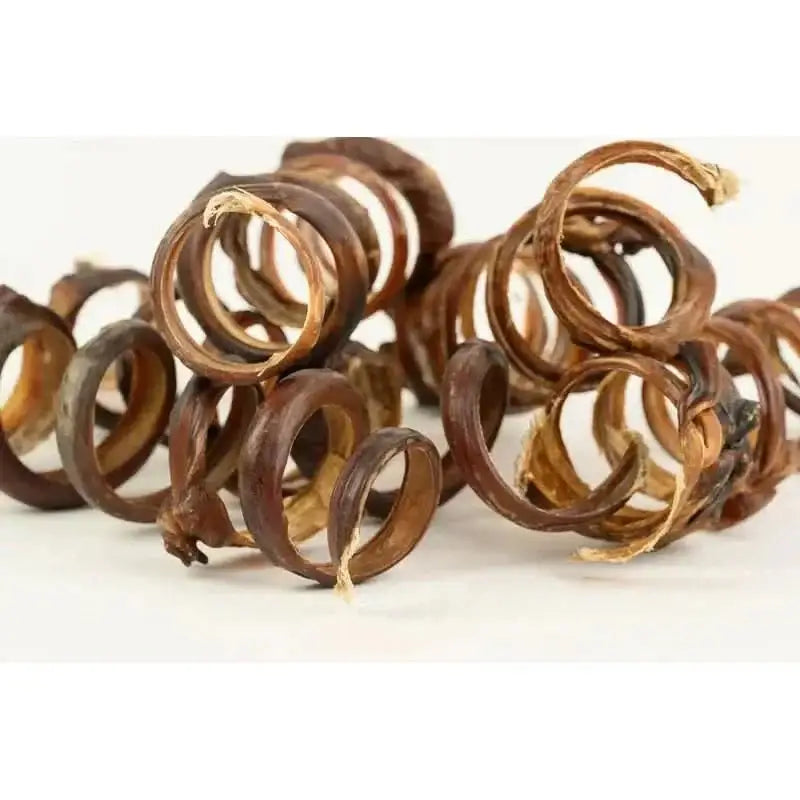 Talis Us Pig Pizzle Springs Dog Chew Treats 40 Units - Talis Us