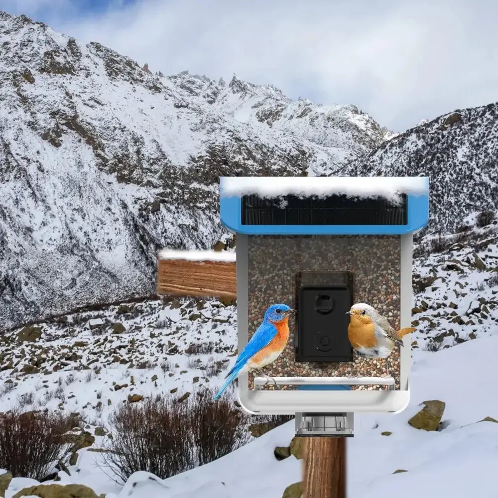 Talis Smart Bird Feeders with Camera Outdoor Wild Bird Feeder - Talis Us