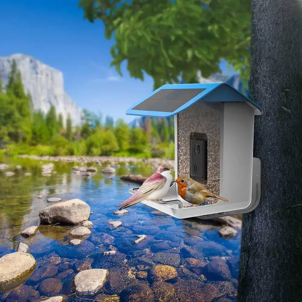 Talis Smart Bird Feeders with Camera Outdoor Wild Bird Feeder - Talis Us