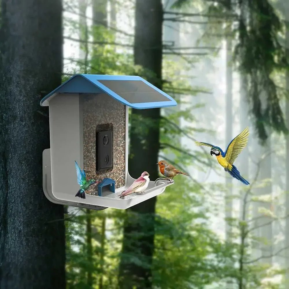 Talis Smart Bird Feeders with Camera Outdoor Wild Bird Feeder - Talis Us