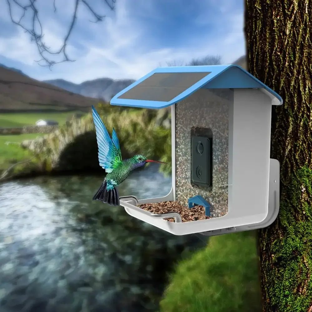 Talis Smart Bird Feeders with Camera Outdoor Wild Bird Feeder - Talis Us