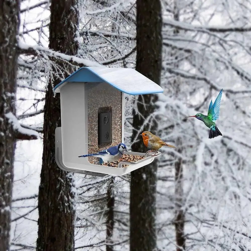 Talis Smart Bird Feeders with Camera Outdoor Wild Bird Feeder - Talis Us