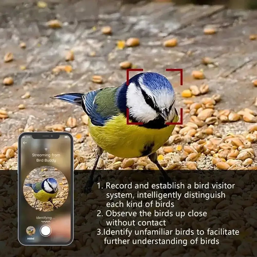 Talis Smart Bird Feeders with Camera Outdoor Wild Bird Feeder - Talis Us