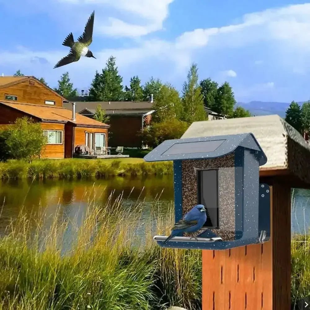 Talis Smart Bird Feeders with Camera Outdoor Wild Bird Feeder - Talis Us