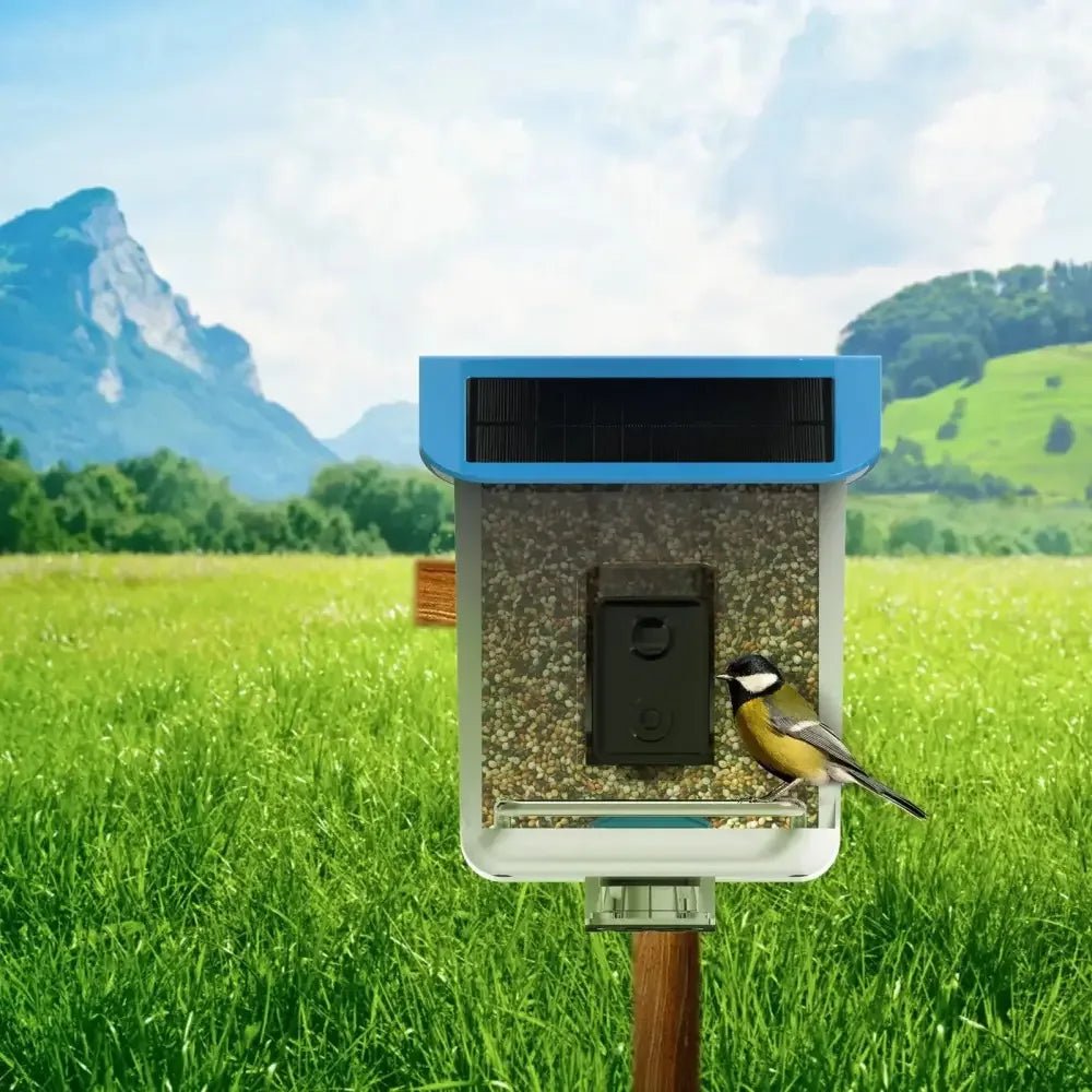 Talis Smart Bird Feeders with Camera Outdoor Wild Bird Feeder - Talis Us