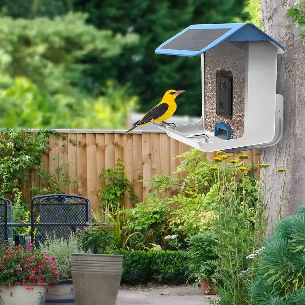 Talis Smart Bird Feeders with Camera Outdoor Wild Bird Feeder - Talis Us