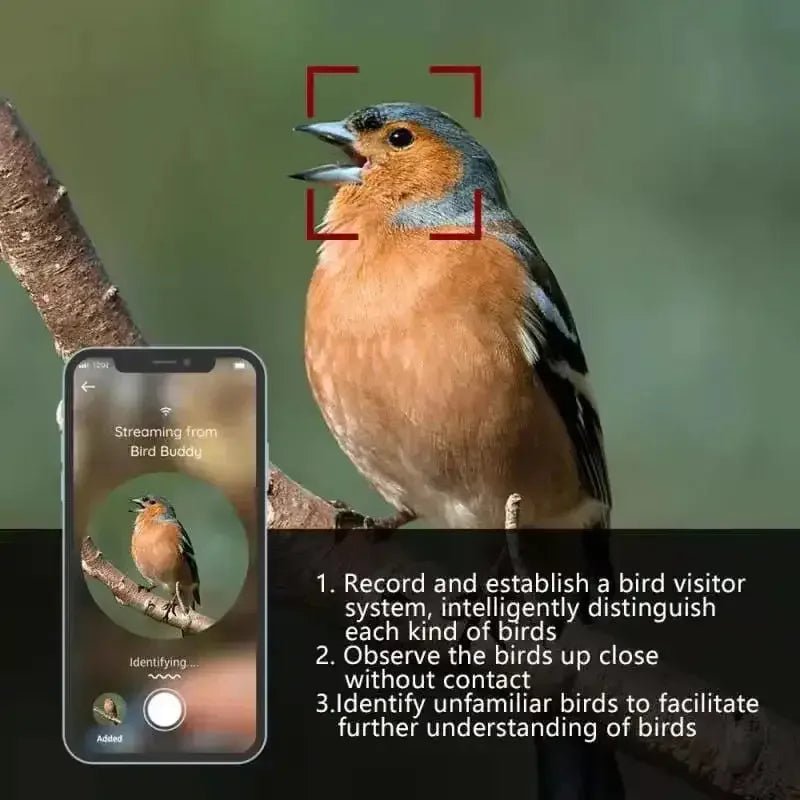 Talis Smart Bird Feeders with Camera Outdoor Wild Bird Feeder - Talis Us