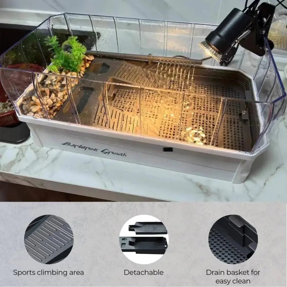 Talis - us Acrylic Aquatic Tortoise Aquarium Starter Kit - Talis Us