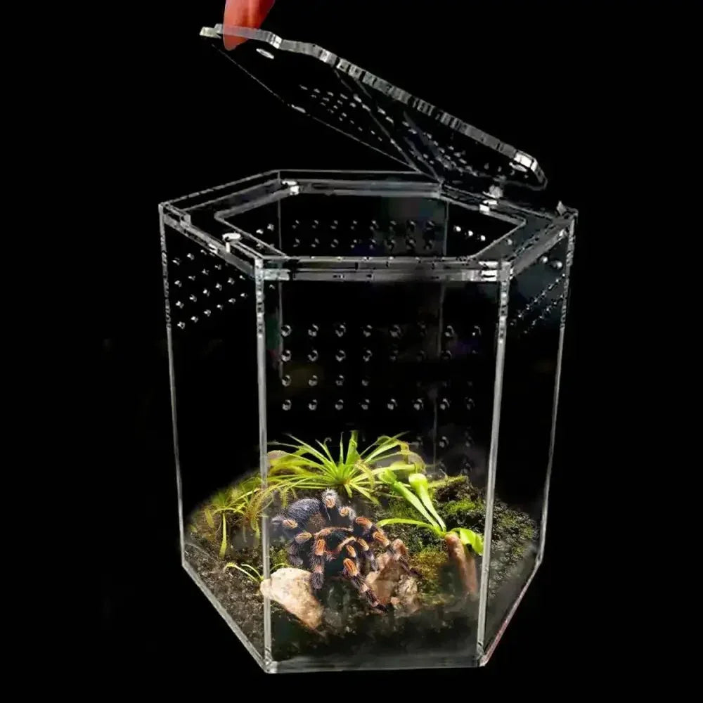 Talis - us Acrylic Hexagon Tarantula Enclosure Reptile Terrarium - Talis Us