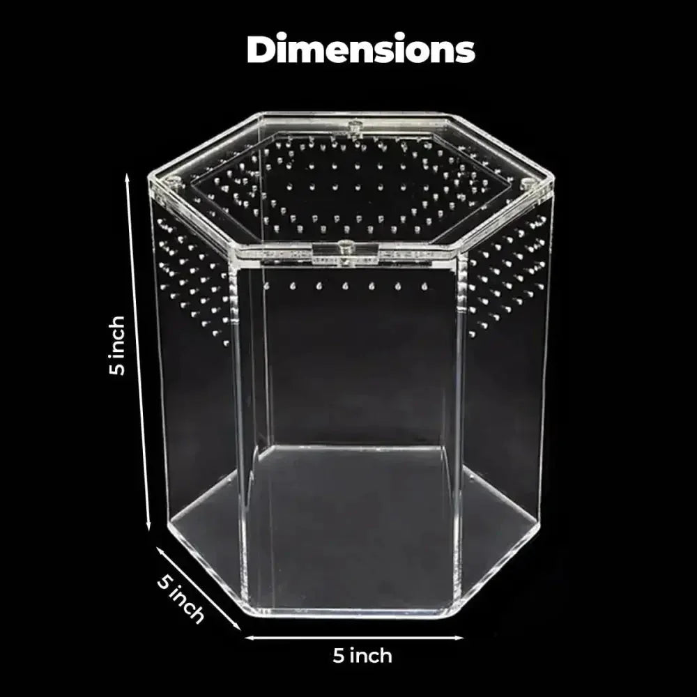 Talis - us Acrylic Hexagon Tarantula Enclosure Reptile Terrarium - Talis Us