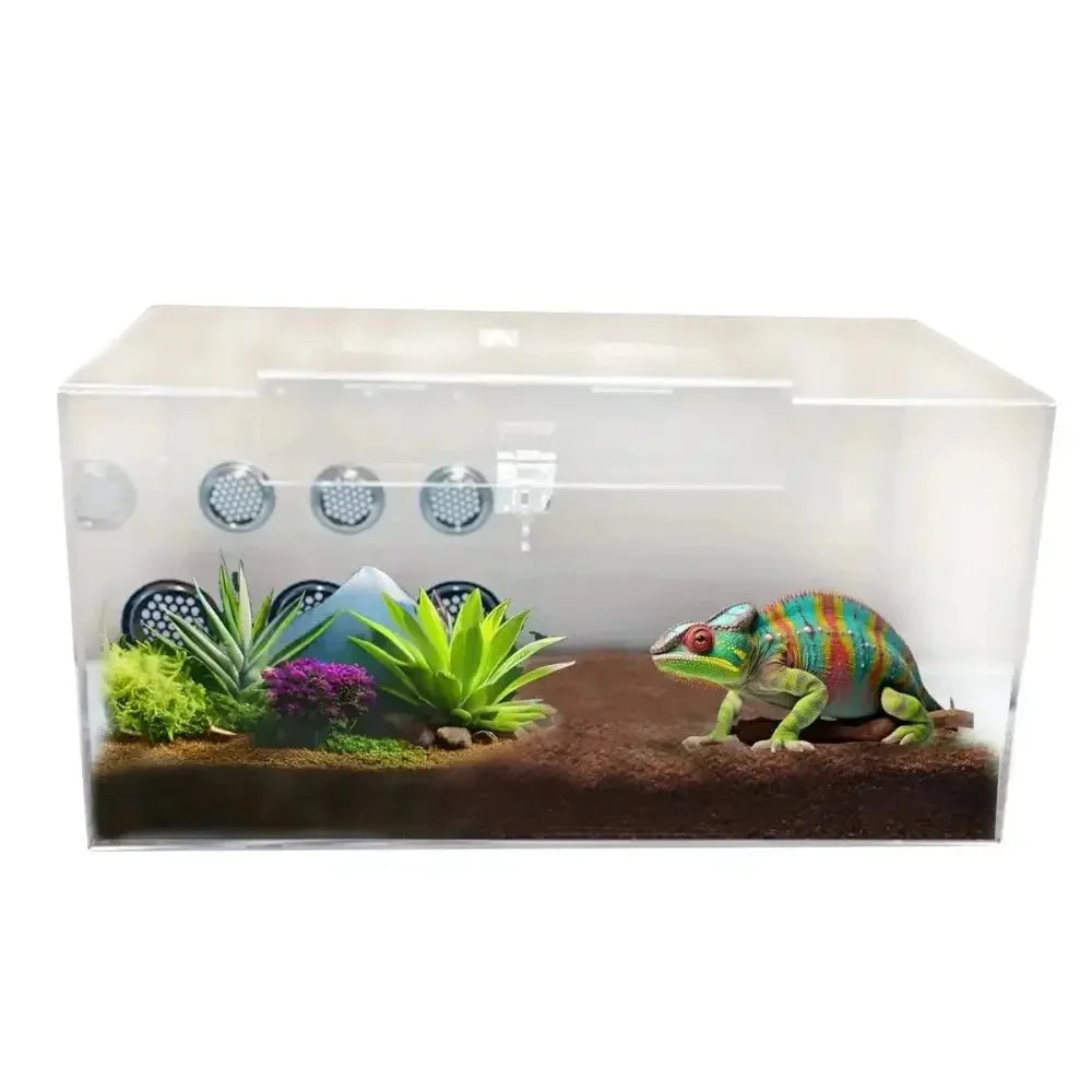 Talis - us Acrylic Tarantula Enclosure Transparent Terrariums Horizontal or Vertical Style for Spider Reptile Insect 8” x 8” x 16” - Talis Us