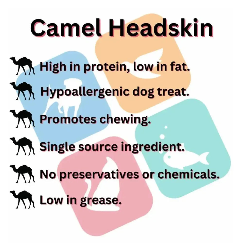 Talis Us Camel Skin Dog Chews - Natural Treats 12 in, 10 ct - Talis Us