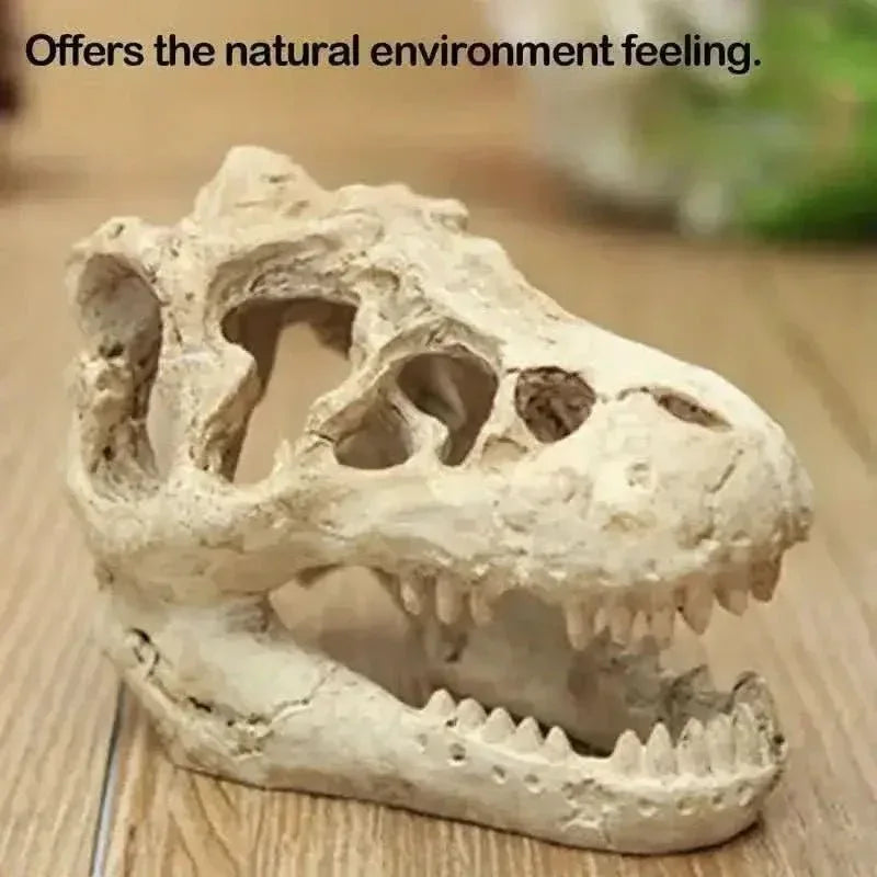 Talis - us Crocodile Skull Resin Ant Farm Decor - Talis Us