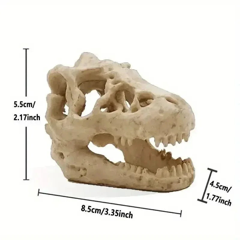 Talis - us Crocodile Skull Resin Ant Farm Decor - Talis Us