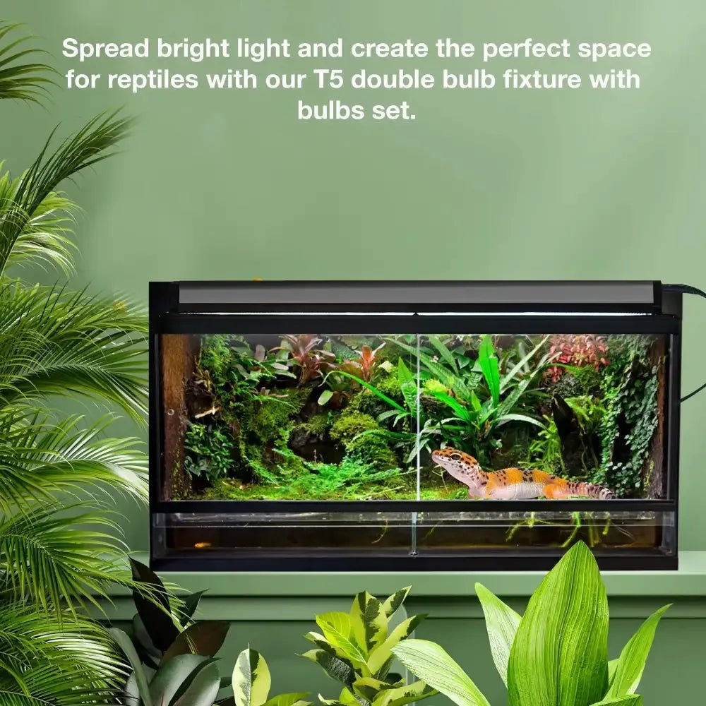 Talis - us Double Bulb Fixture with Arcadia and 6.5k Day - Light Bulbs HO T5 UVB Reptile Light Terrarium Hood - Talis Us